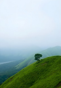The Hilly Trip 